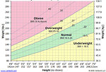 Figure 6: Body mass index (BMI) chart for adults (www.vertex42.com)