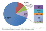 Figure 1: Distribution of renal tumors in childhood