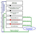 Figure 8: Flow diagram for initial diagnostic work up