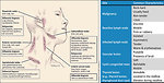 Figure 14: Differential diagnosis of the neck lymphadenopathy