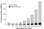 Figure 1: % of malignant melanoma and all malignancies according to age