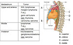 Figure 5: Differential diagnosis of mediastinal tumors in pediatric oncology